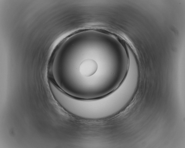 X0000113611336200909181411