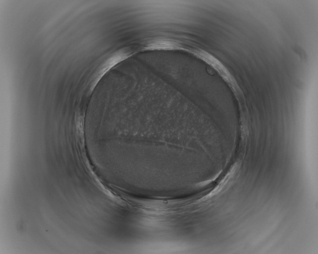 X0000113611337200909181411