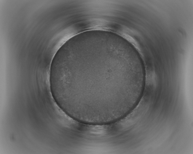 X0000113611338200909181411