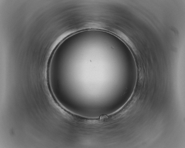 X0000113611339200909181411