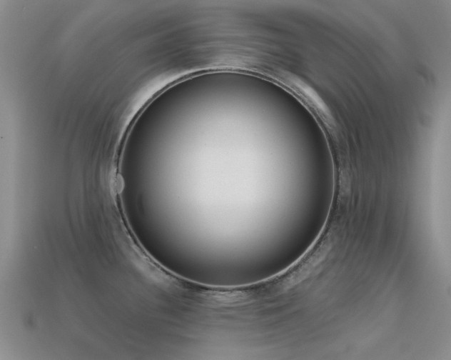 X0000113611340200909181411