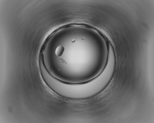 X0000113611342200909181411