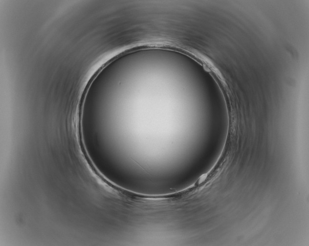 X0000113611343200909181411