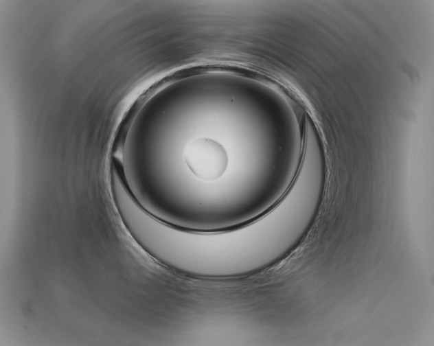 X0000113611344200909181411