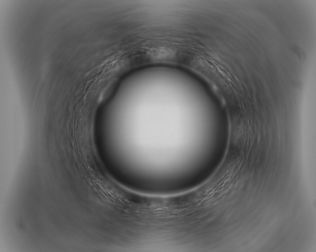 X0000113611345200909181411