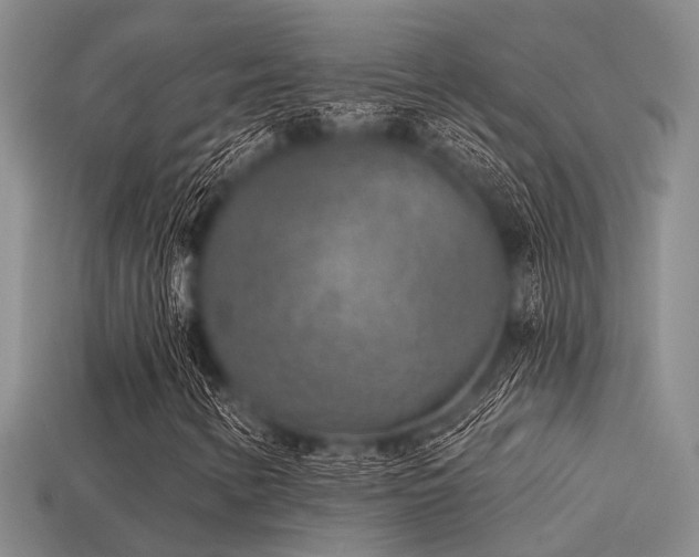 X0000113611346200909181411