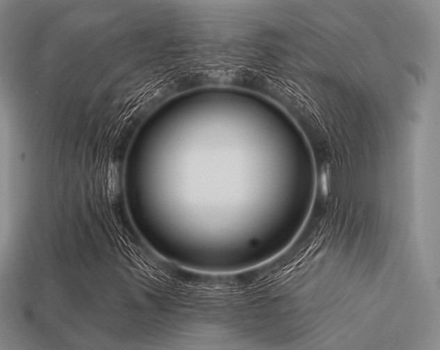 X0000113611347200909181411