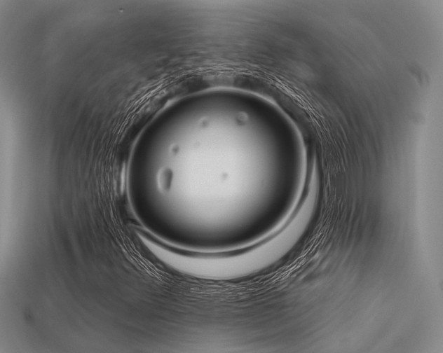 X0000113611348200909181411