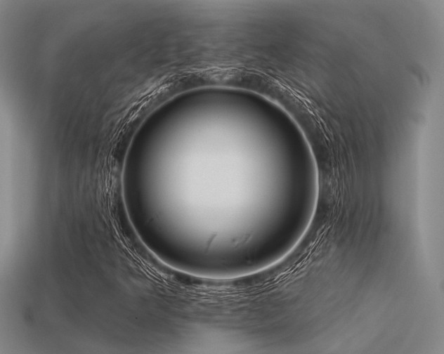 X0000113611349200909181411