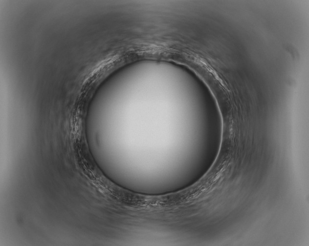 X0000113611350200909181411