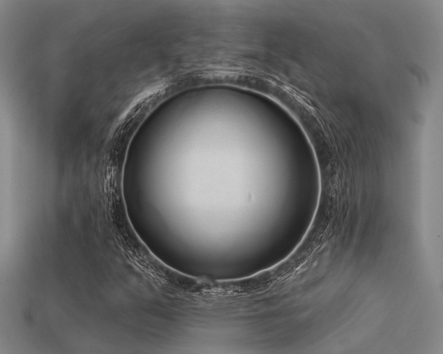 X0000113611351200909181411