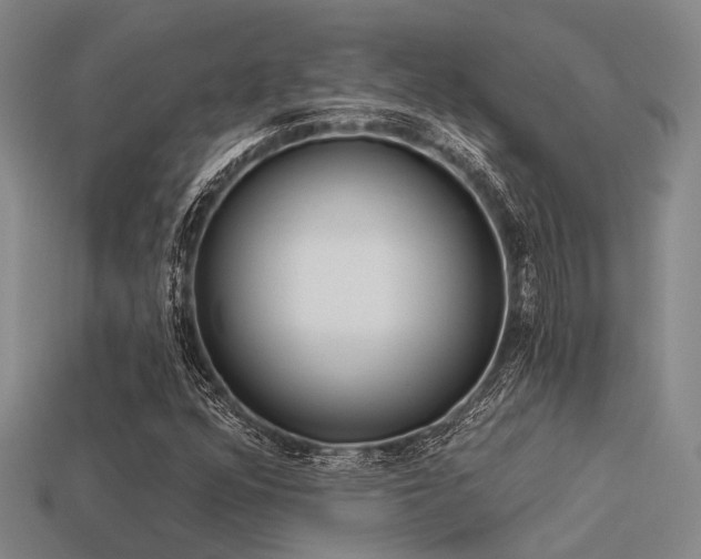 X0000113611352200909181411