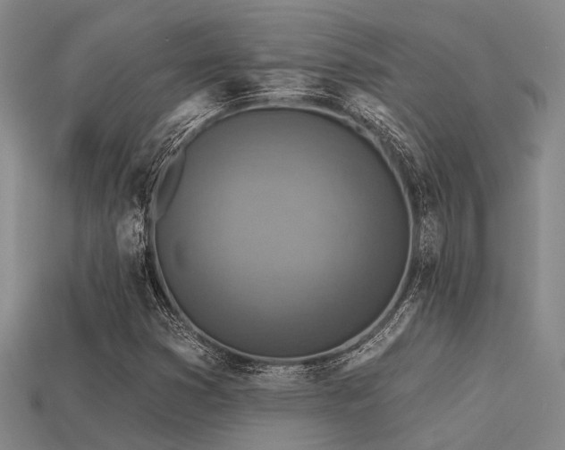 X0000113611353200909181411