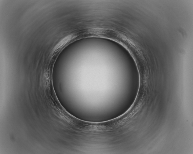 X0000113611354200909181411