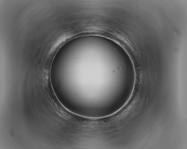 X0000113611355200909181411