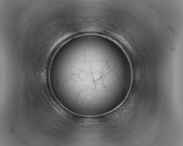 X0000113611356200909181411