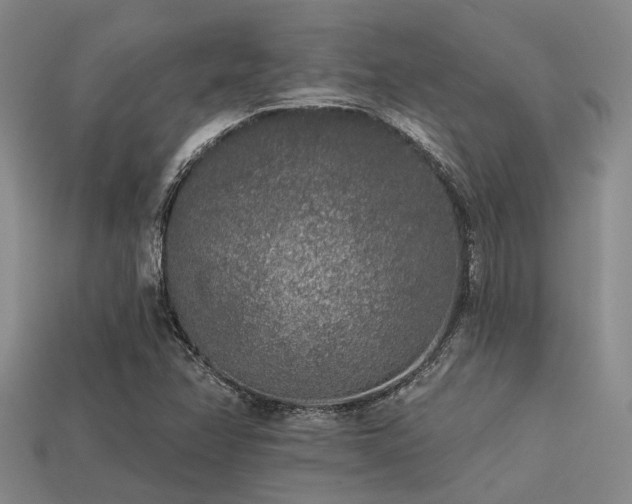 X0000113611358200909181410