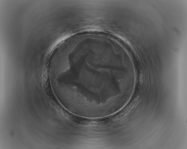 X0000113611359200909181410