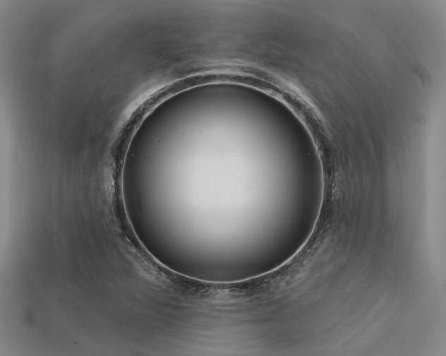 X0000113611360200909181410
