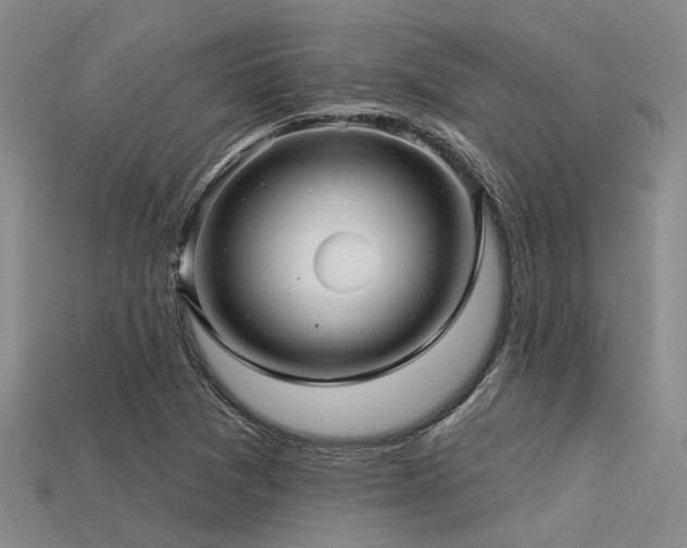 X0000113611361200909181410