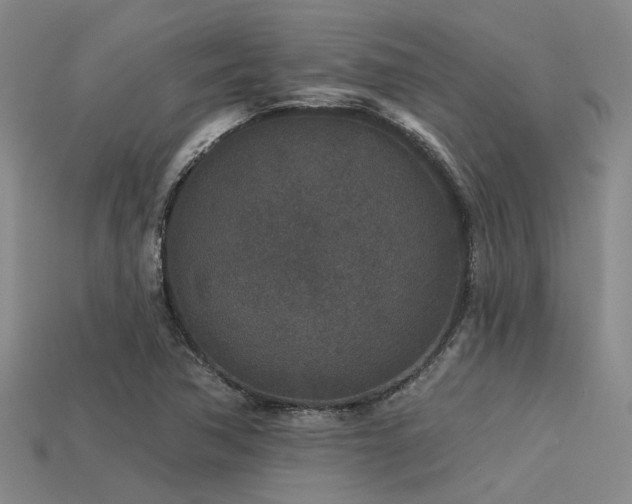 X0000113611362200909181410