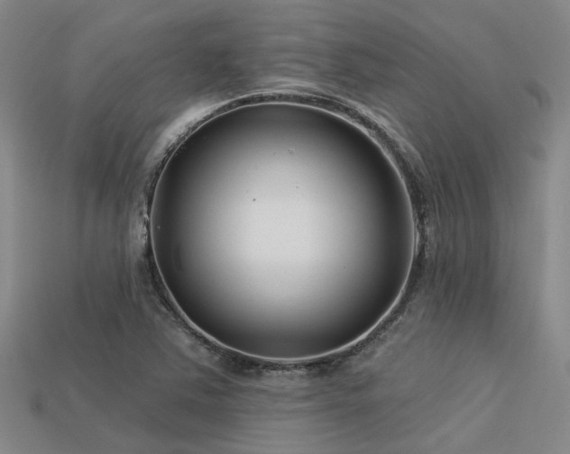 X0000113611363200909181410