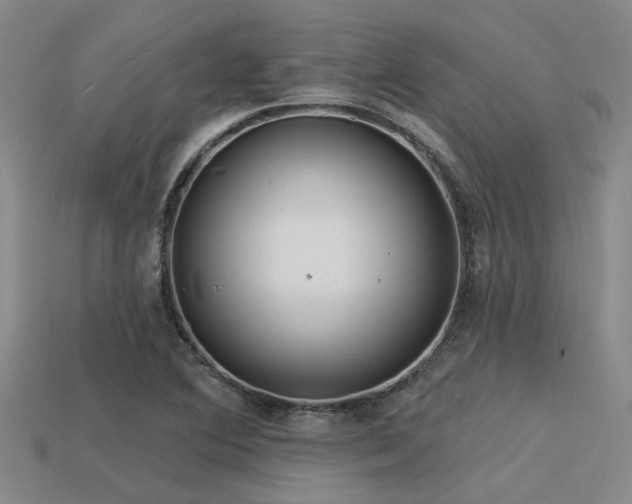X0000113611364200909181410