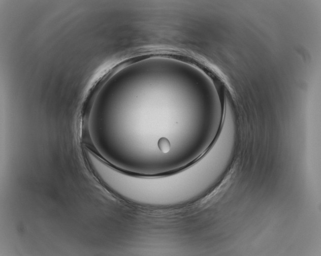 X0000113611365200909181410
