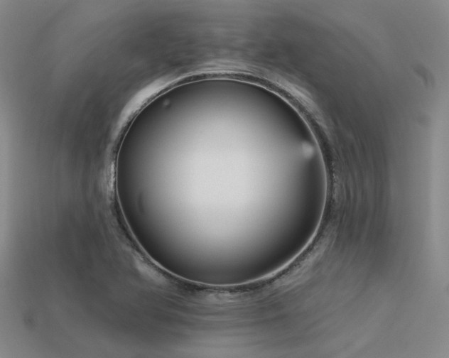 X0000113611366200909181410