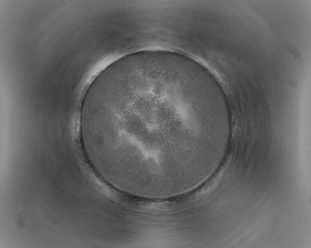 X0000113611367200909181410