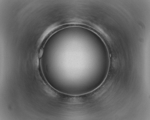 X0000113611368200909181410