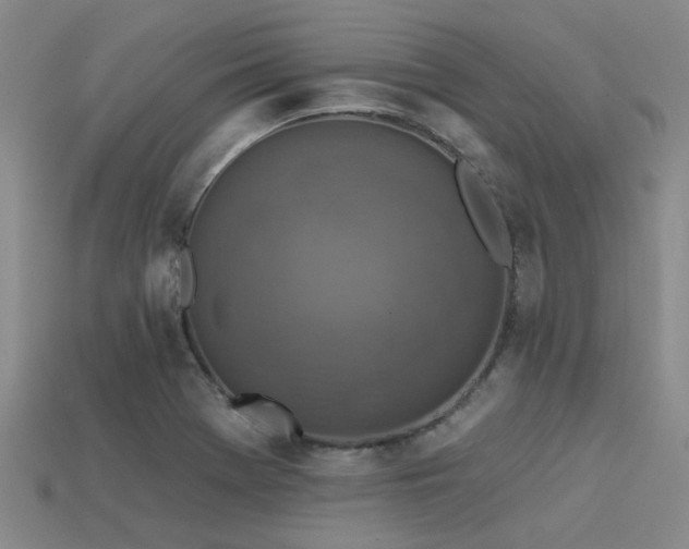 X0000113611369200909181410