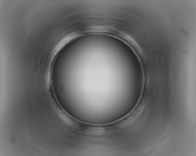 X0000113611370200909181410