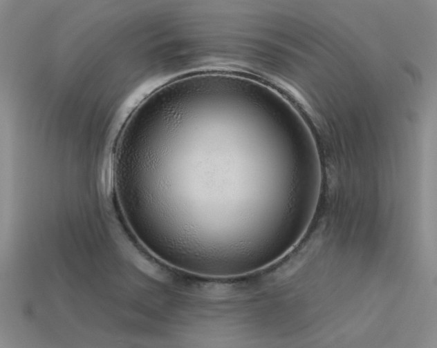 X0000113611371200909181410
