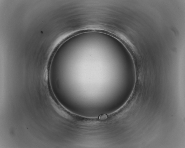 X0000113611372200909181410