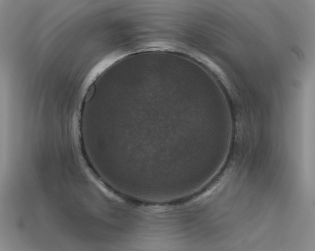 X0000113611373200909181410