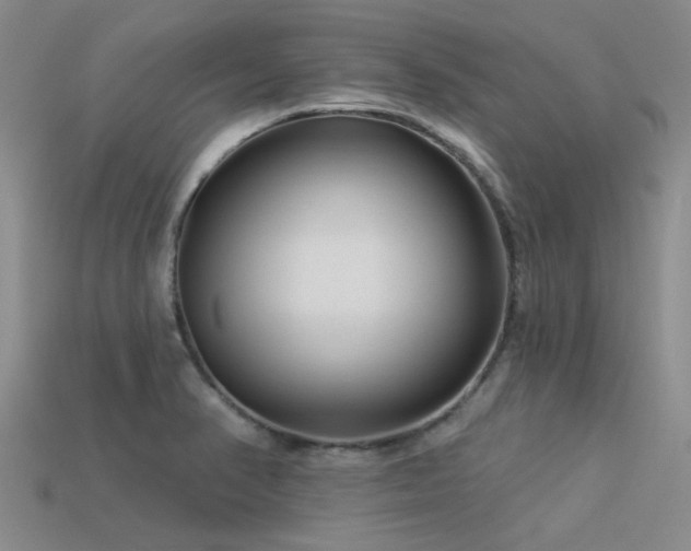 X0000113611374200909181410