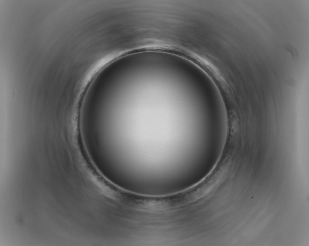 X0000113611375200909181410