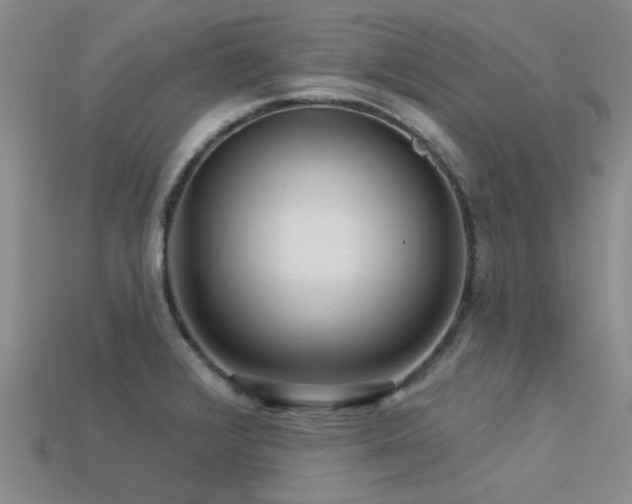 X0000113611376200909181410