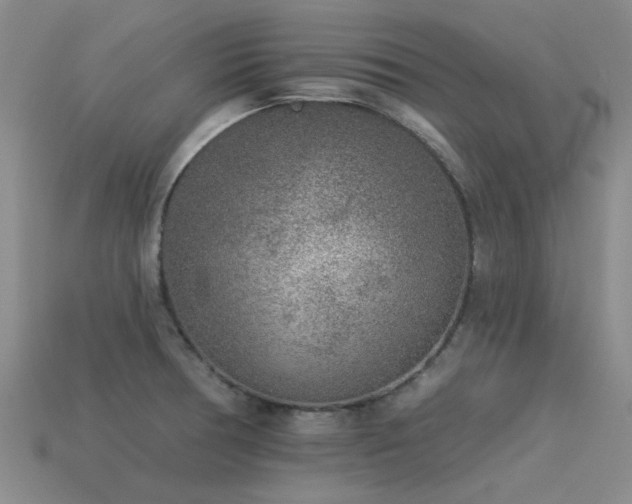 X0000113611378200909181410