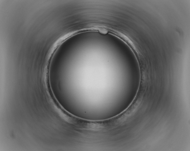 X0000113611379200909181410