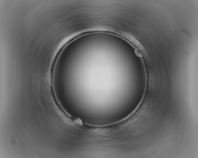 X0000113611380200909181410