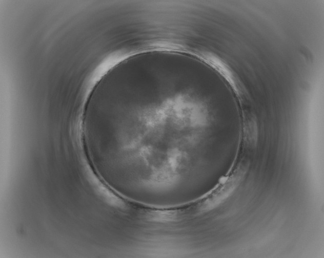 X0000113611381200909181410