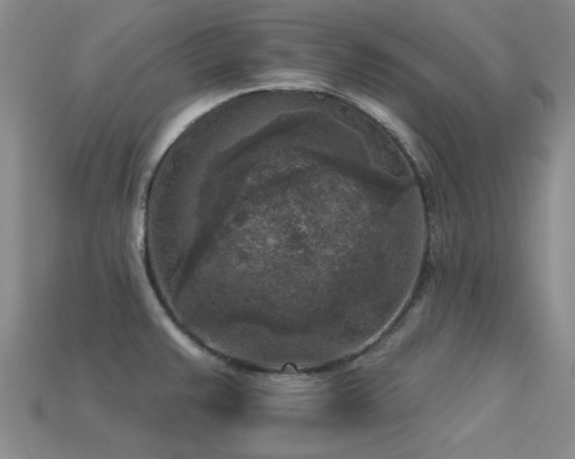 X0000113611383200909181410