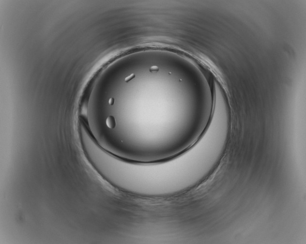 X0000113611384200909181410