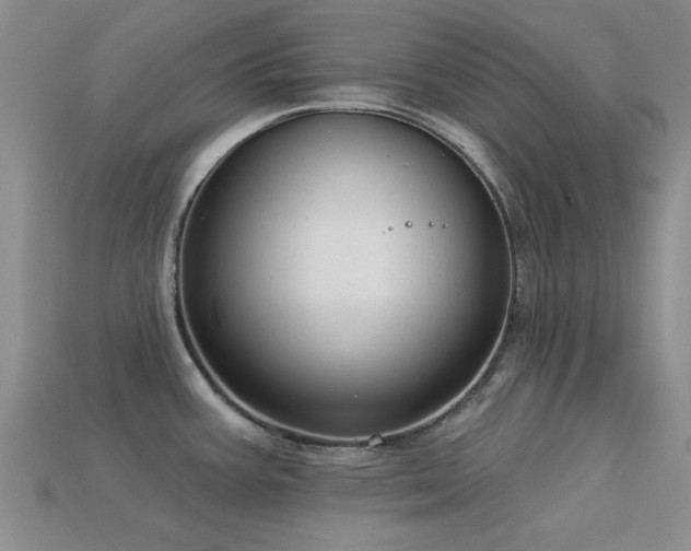 X0000113611387200909181410