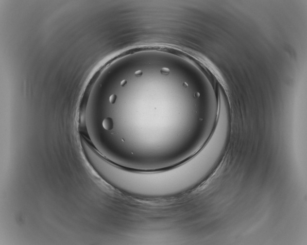 X0000113611388200909181410
