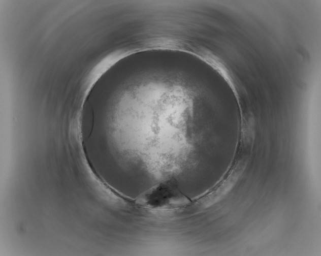 X0000113611389200909181410