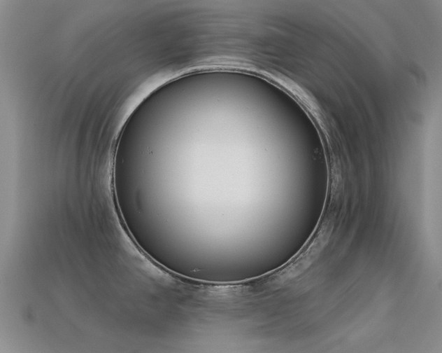 X0000113611390200909181410