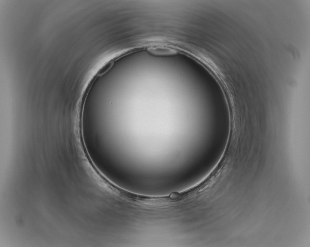 X0000113611392200909181410